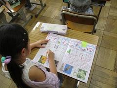 IMG_7931.jpg