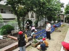 IMG_7956.jpg