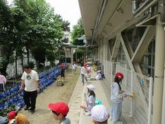 IMG_7957.jpg