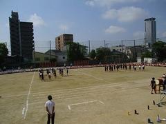 IMG_7959.jpg