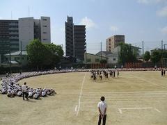 IMG_7960.jpg