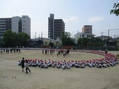 IMG_7961.jpg