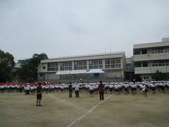 IMG_7967.jpg