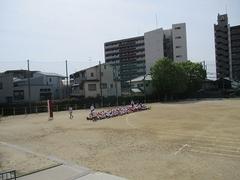 IMG_7971.jpg