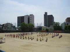 IMG_7978.jpg