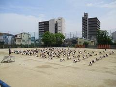 IMG_7984.jpg