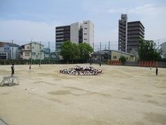 IMG_7985.jpg