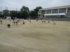 IMG_7990.jpg