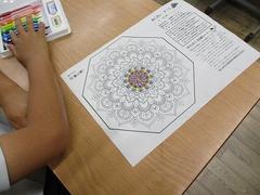IMG_8000.jpg