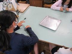 IMG_8002.jpg