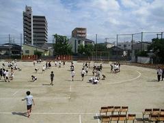 IMG_8029.jpg