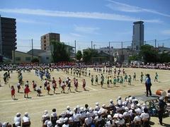 IMG_8032.jpg