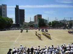 IMG_8035.jpg