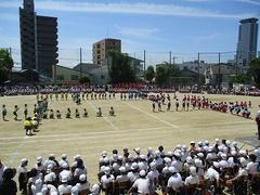IMG_8040.jpg