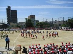 IMG_8042.jpg