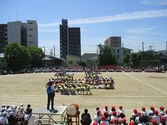 IMG_8045.jpg
