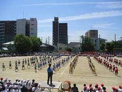 IMG_8048.jpg