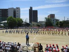 IMG_8053.jpg