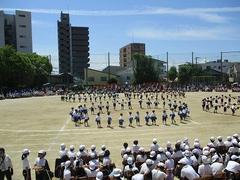 IMG_8062.jpg