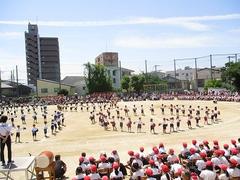 IMG_8065.jpg