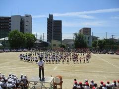 IMG_8073.jpg