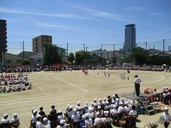 IMG_8074.jpg