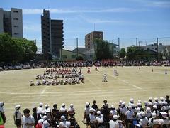 IMG_8075.jpg