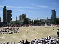 IMG_8076.jpg