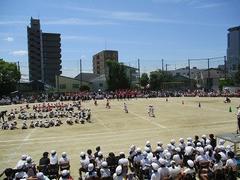 IMG_8082.jpg