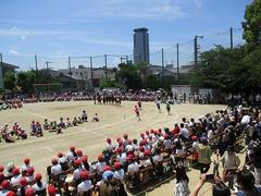 IMG_8110.jpg