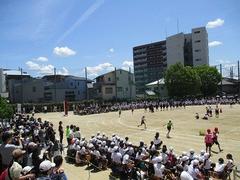 IMG_8113.jpg