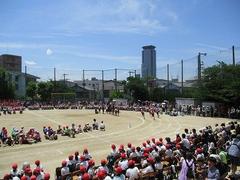 IMG_8117.jpg
