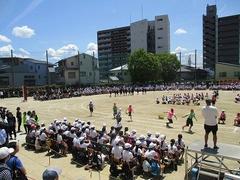 IMG_8119.jpg