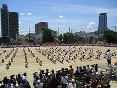 IMG_8126.jpg