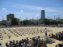 IMG_8128.jpg