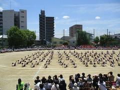 IMG_8130.jpg