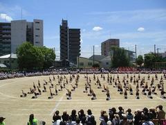 IMG_8132.jpg