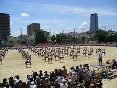 IMG_8134.jpg