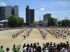 IMG_8136.jpg
