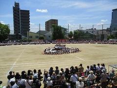 IMG_8144.jpg