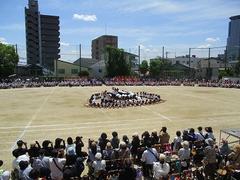 IMG_8145.jpg