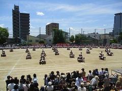 IMG_8153.jpg