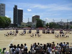 IMG_8155.jpg