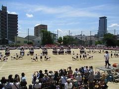 IMG_8157.jpg