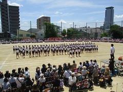 IMG_8163.jpg