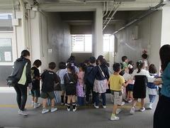 IMG_3151.jpg