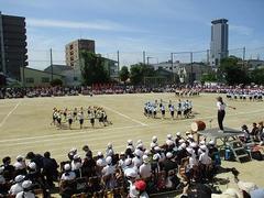 IMG_3039.jpg