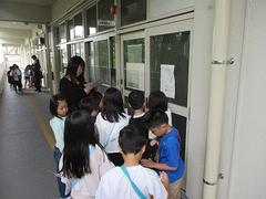 IMG_3146.jpg