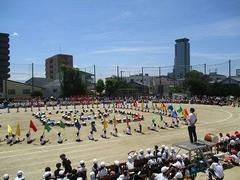 IMG_8106.jpg