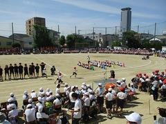 IMG_3032.jpg
